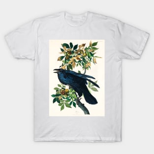 Raven from Birds of America (1827) T-Shirt